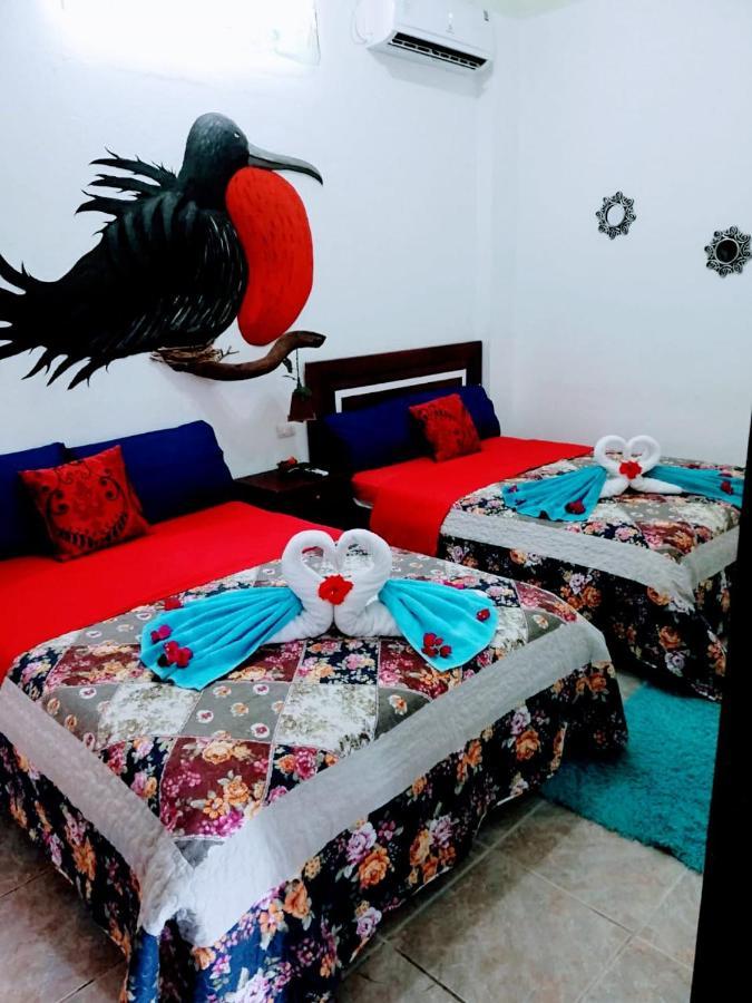 Suite Galarous Island Puerto Ayora  Exteriér fotografie